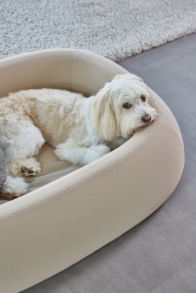 MiaCara Barca Dog Bed