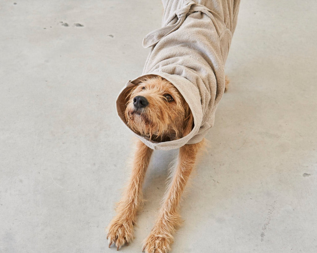 MiaCara Luxurious Bagno Dog Bathrobe in Greige, Perfect Gift for Dog Owners