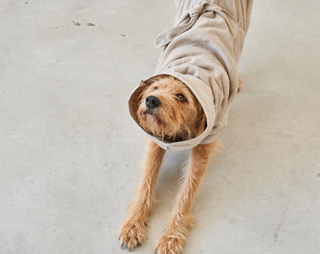 MiaCara Bagno Dog Bathrobe