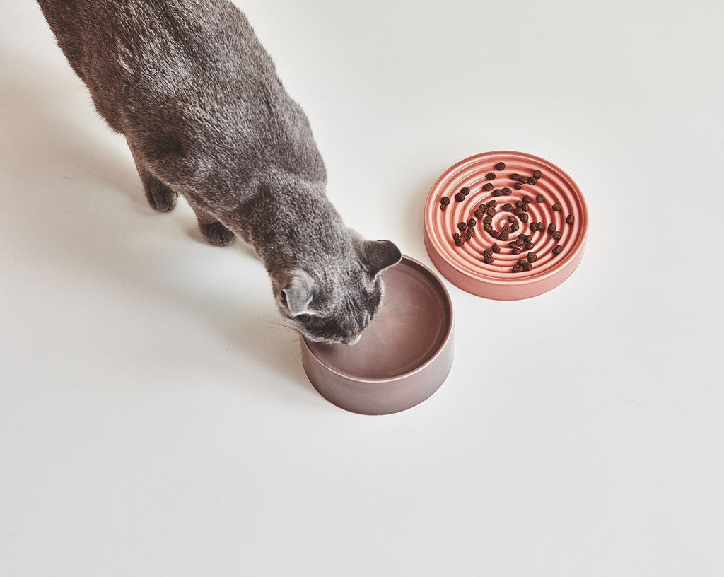 MiaCara Piatto Porcelain Designer Cat Bowl