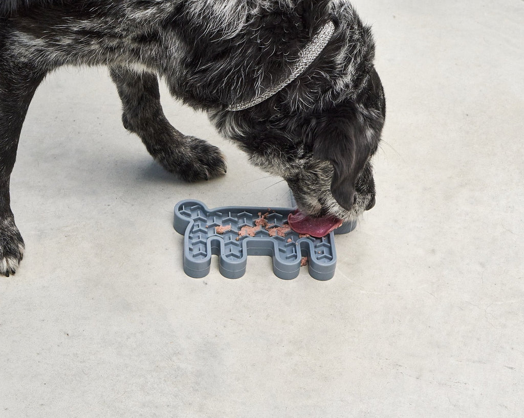 MiaCara Lepre Activity Toy | Slow Feeder, Lick Mat