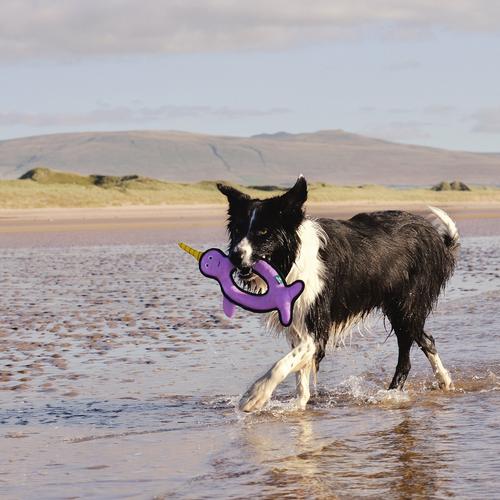 Beco Rough & Tough Recycled Dog Toy, Narwhal