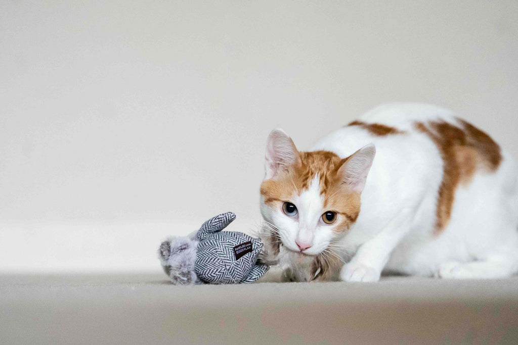 P.L.A.Y. Blissful Birdy Catnip Toy