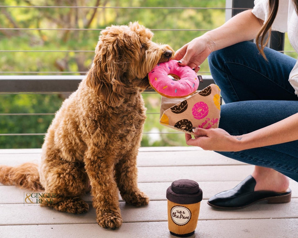 P.L.A.Y. Donut Crinkle & Squeak Plush Toy for Dogs