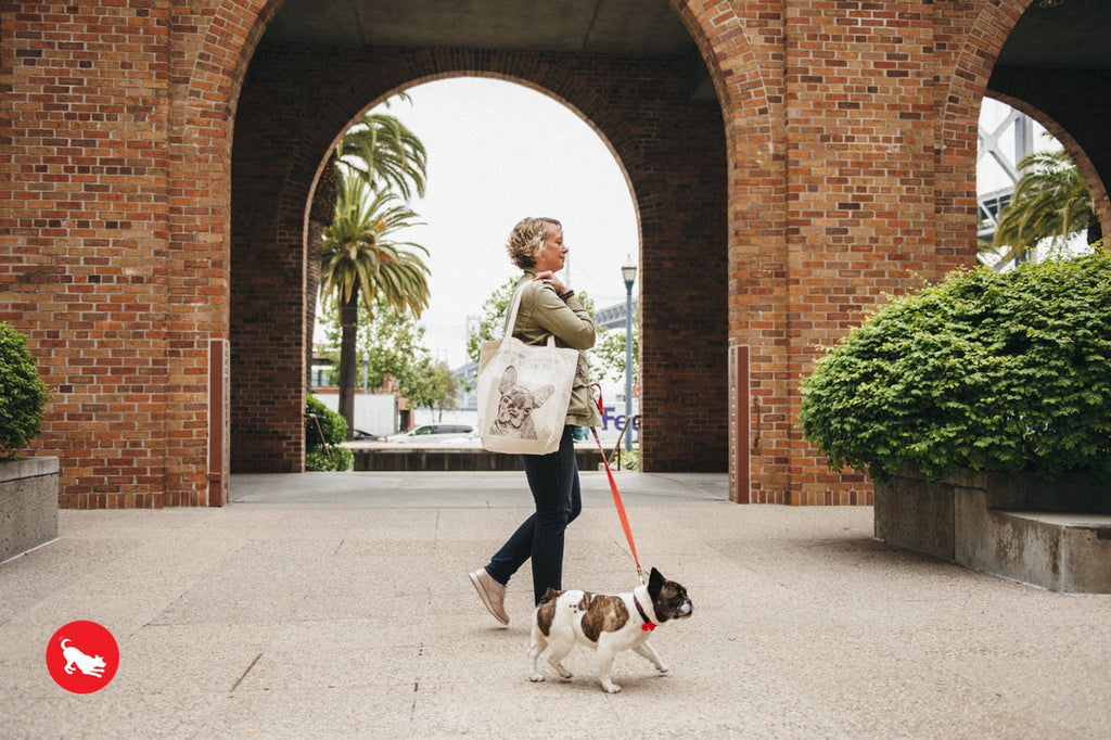 P.L.A.Y. Dog Rule #1: Blame The Cat! Tote Bag