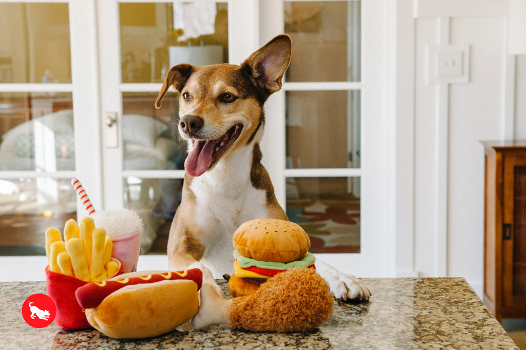 P.L.A.Y. | American Classic Hot Dog Squeaky Nosework Plush Toy for Dogs