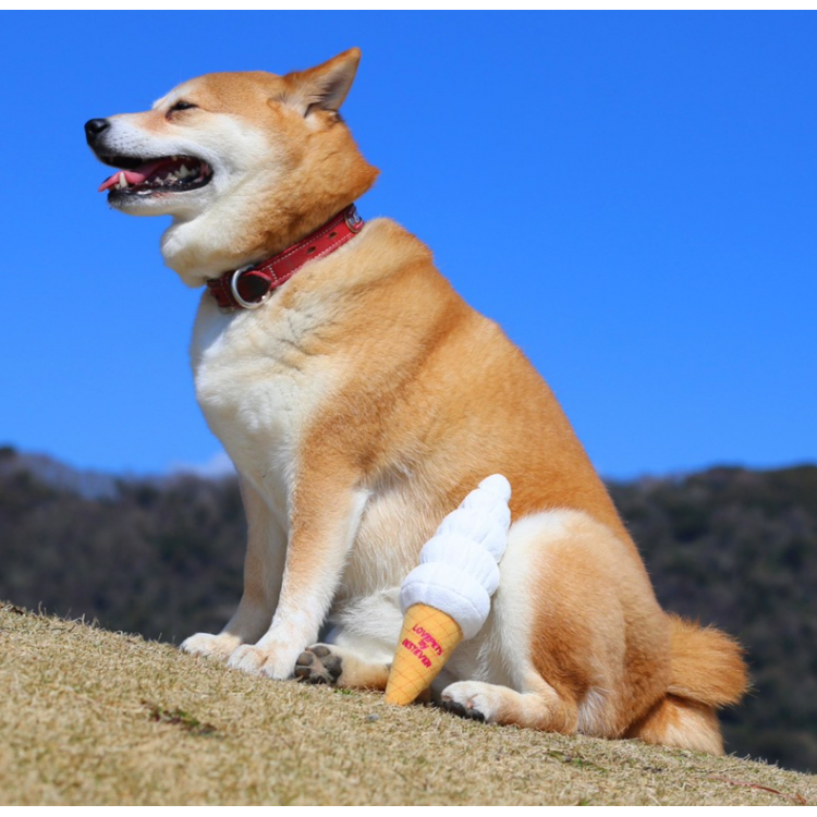 Bestever Japan Hokkaido Milk Soft Serve Crinkle & Squeak Dog Toy