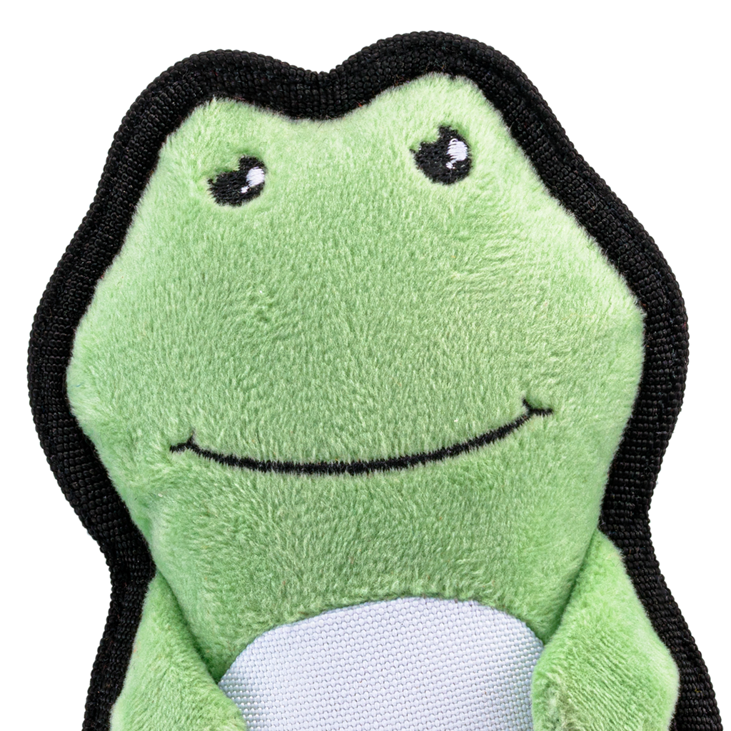 Beco Rough & Tough Recycled Dog Toy, Frog