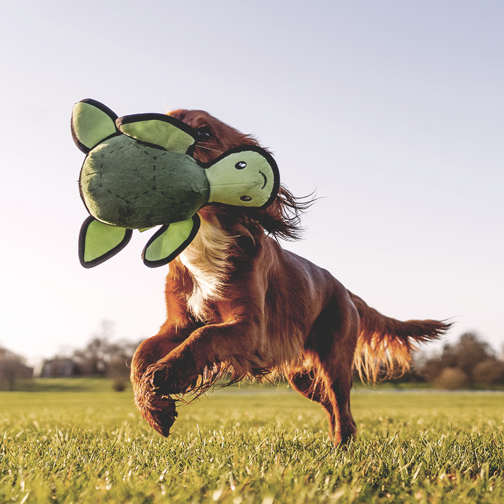 Beco Dog Toy, Turtle | Floats, Squeaks, Sustainable MateriaL