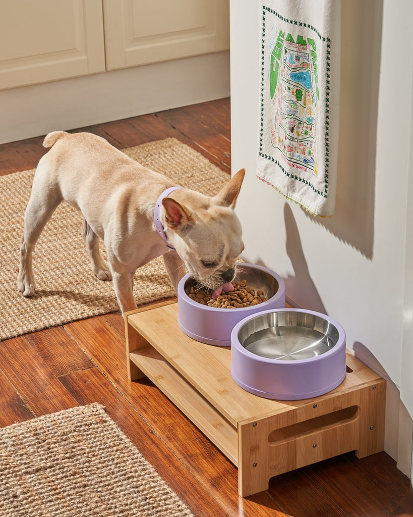 Wild One Stainless Steel, Non Slip Dog Bowl