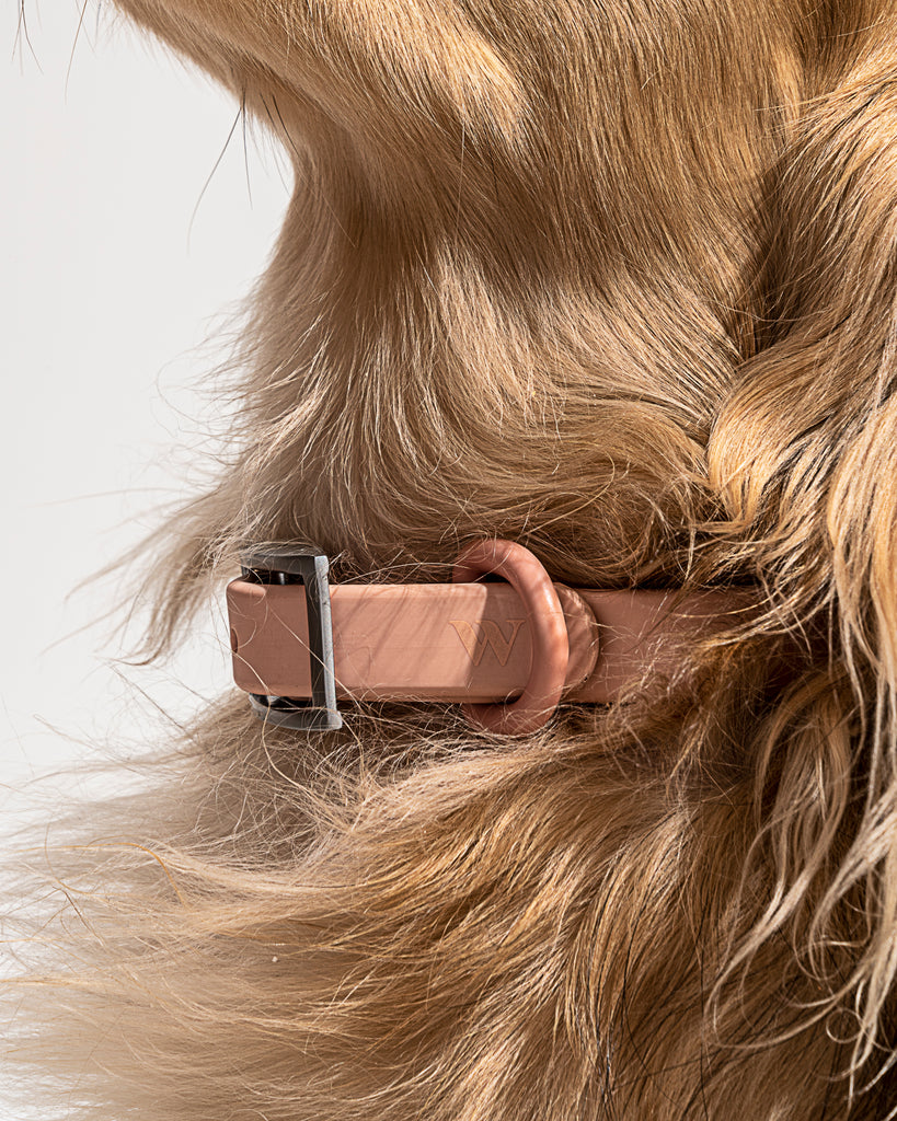 Wild One Collar, Blush