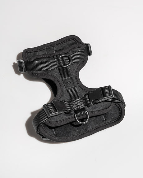 Wild One Harness, Black