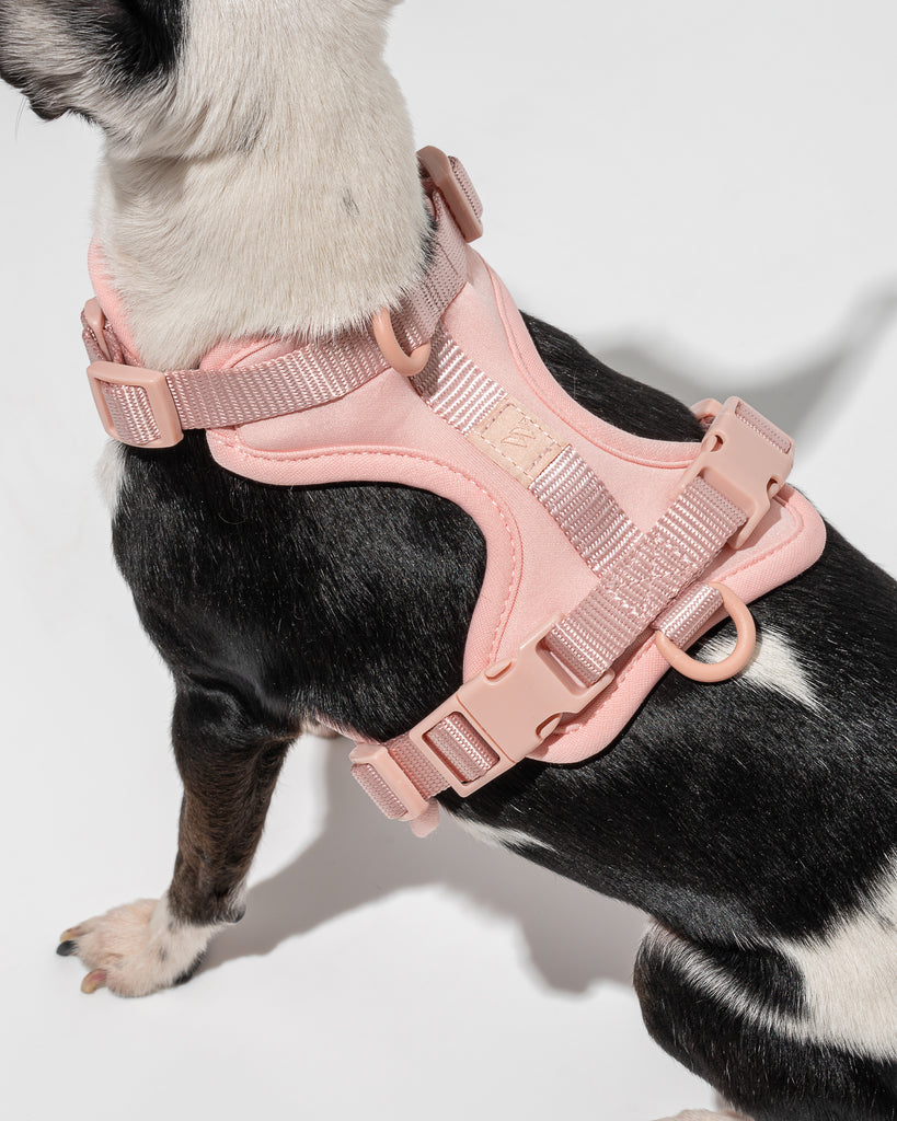 Wild One Dog Harness in Blush Pink | No Pull Harness