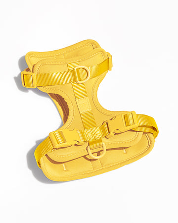 Wild One Harness, Butter