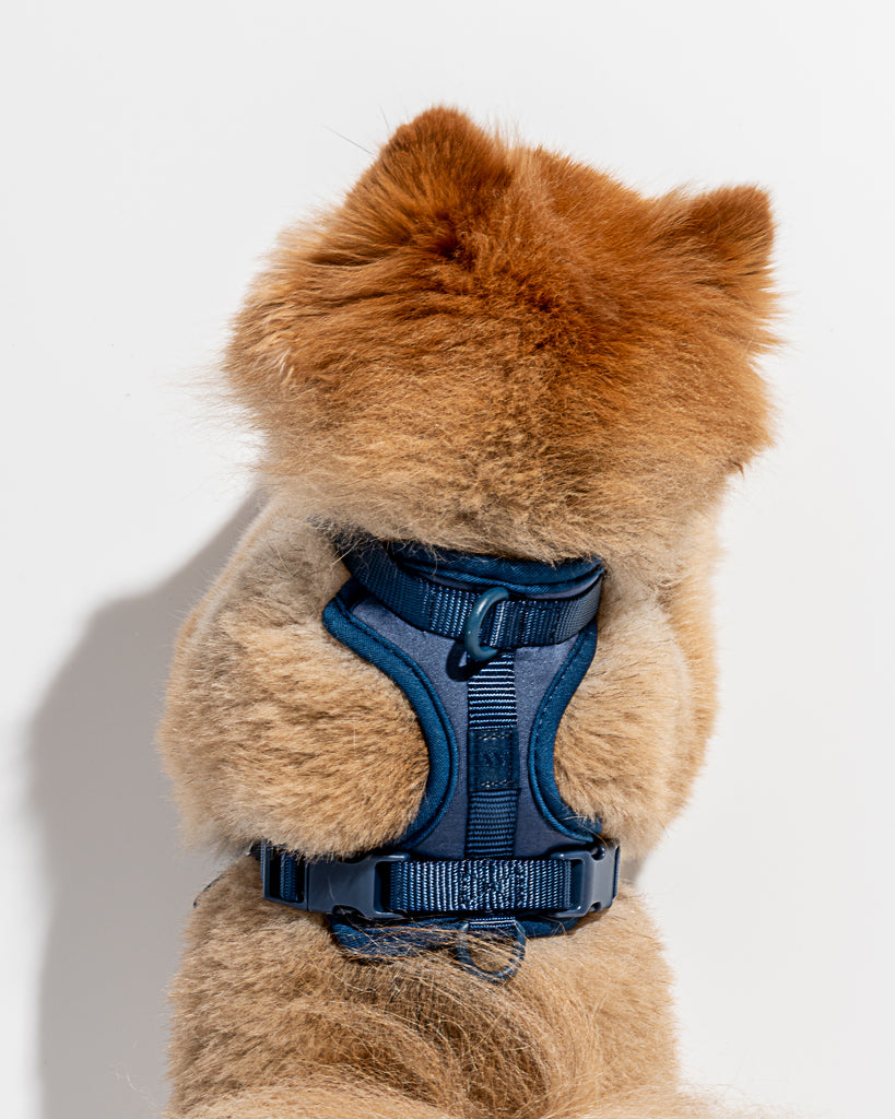 Wild One Dog Harness in Navy | No Pull Harness