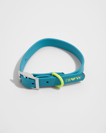 Wild One Collar, Limited Edition, IM Hudson Blue