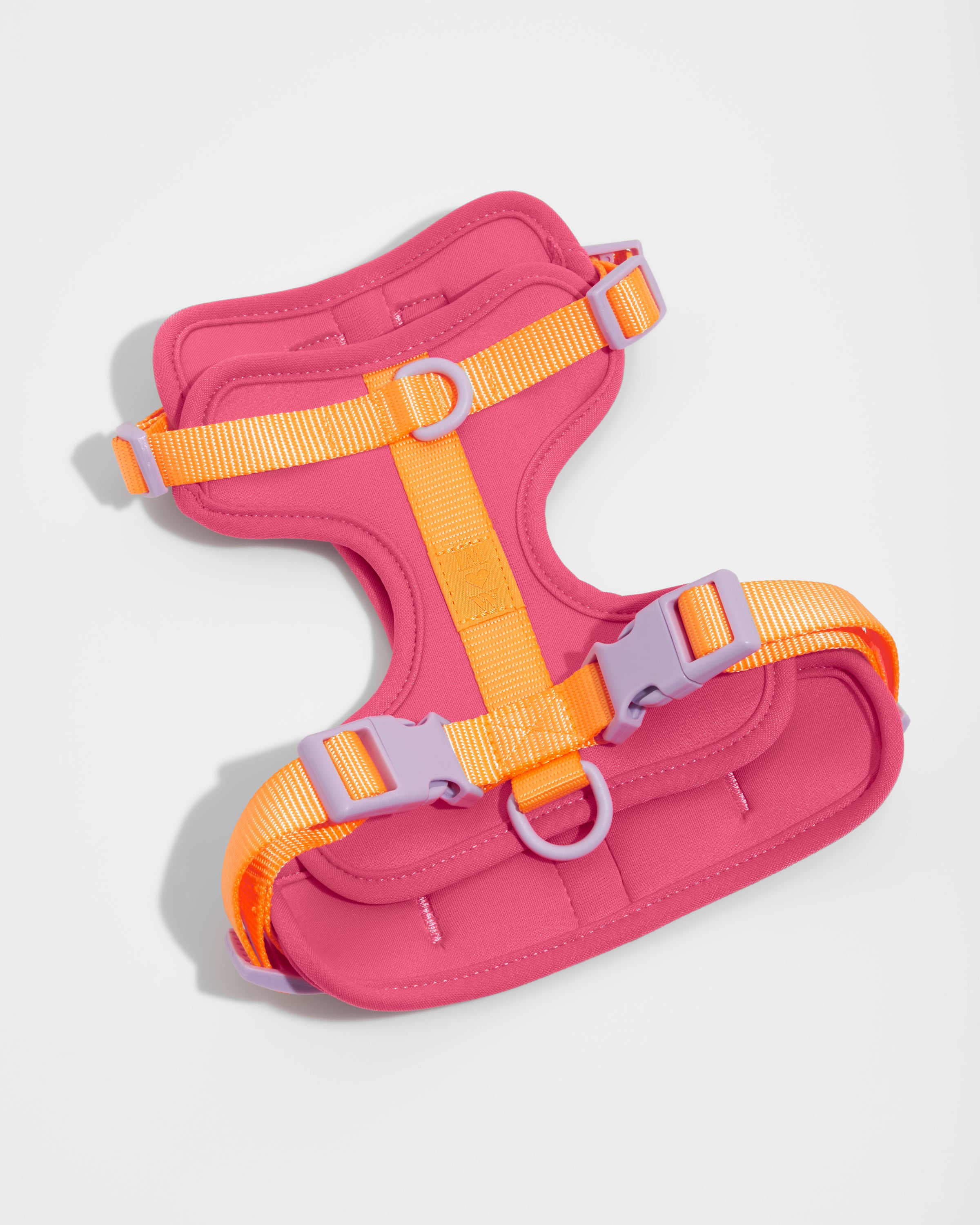 [XS only] Wild One Harness, Limited Edition, IM Cosmopolitan Pink – NNYEO