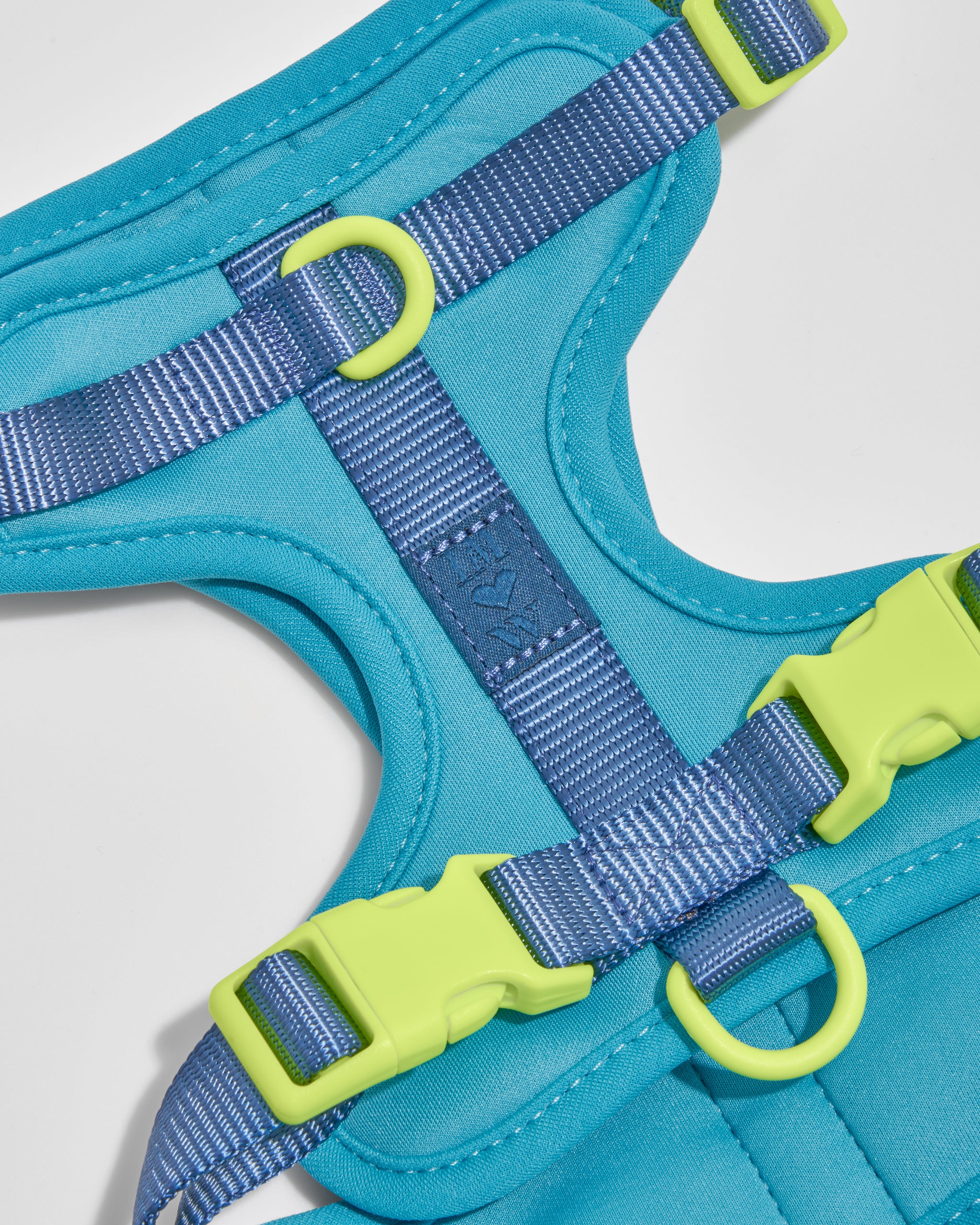 XS, L] Wild One Harness, Limited Edition, IM Hudson Blue – NNYEO