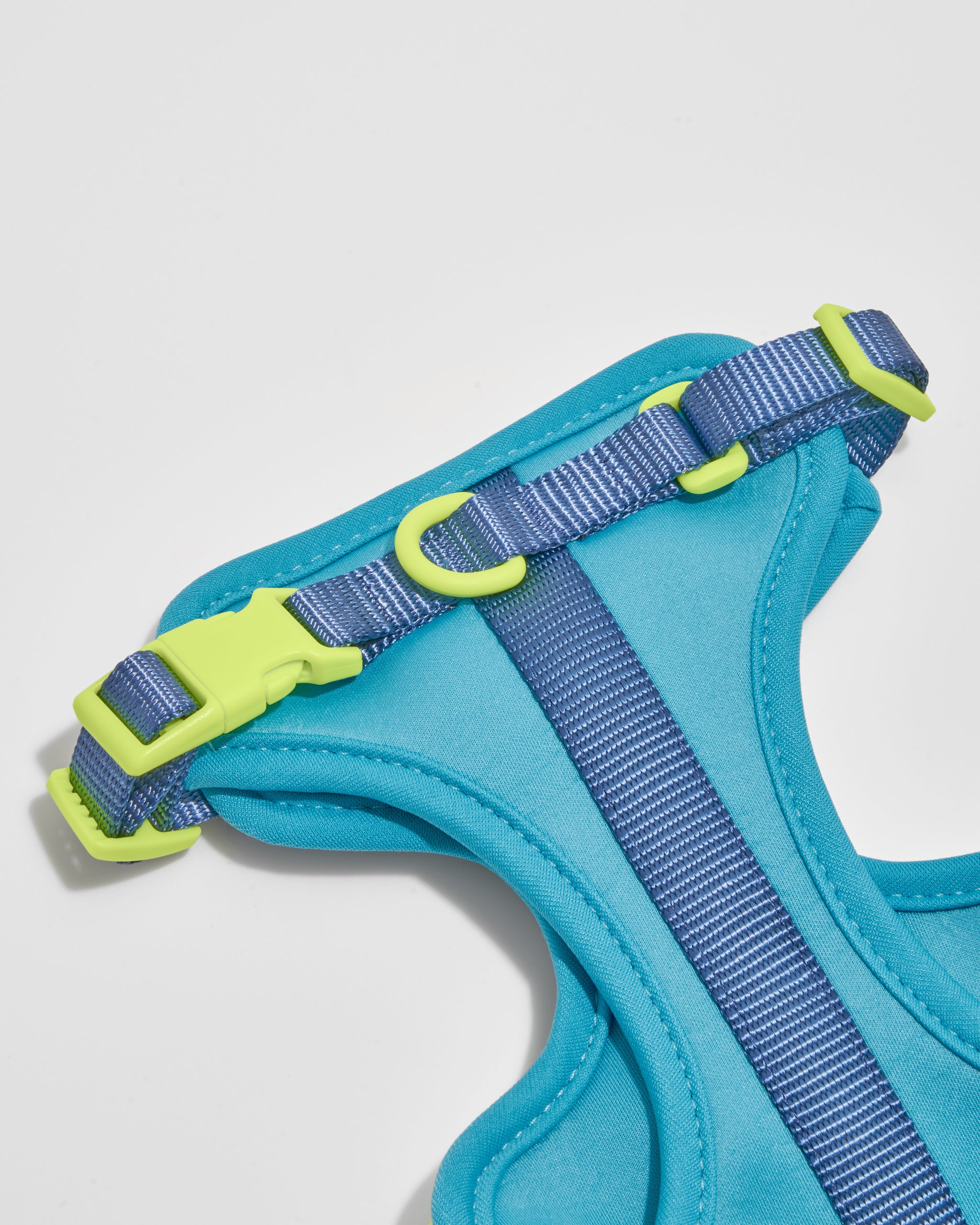 XS, L] Wild One Harness, Limited Edition, IM Hudson Blue – NNYEO