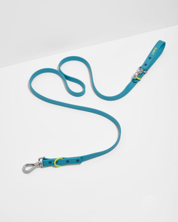 Wild One Leash, Limited Edition, IM Hudson Blue