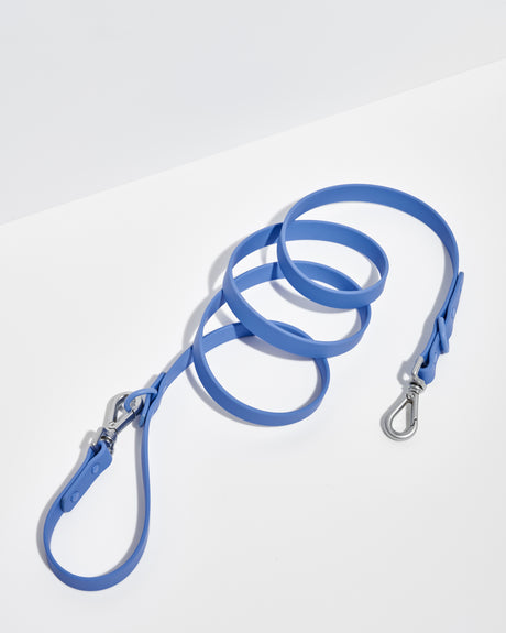 Wild One Leash, Moonstone