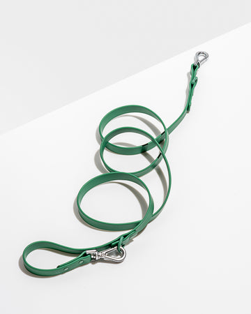 Wild One Leash, Spruce