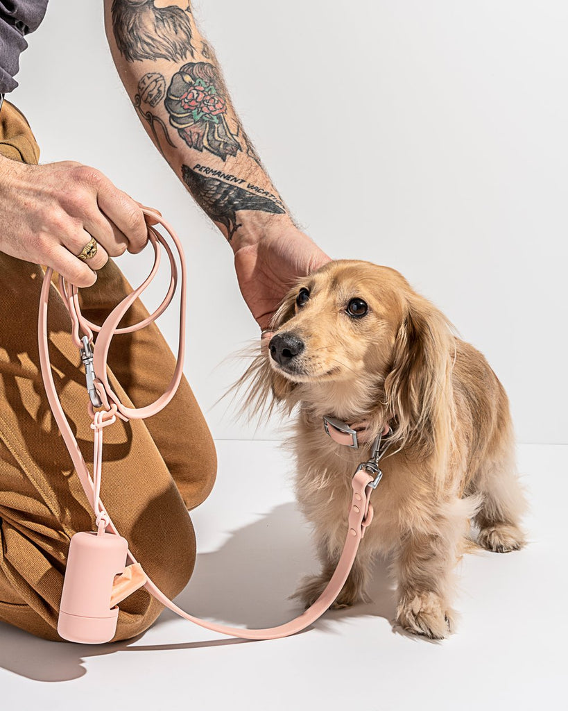 Wild One Collar, Blush