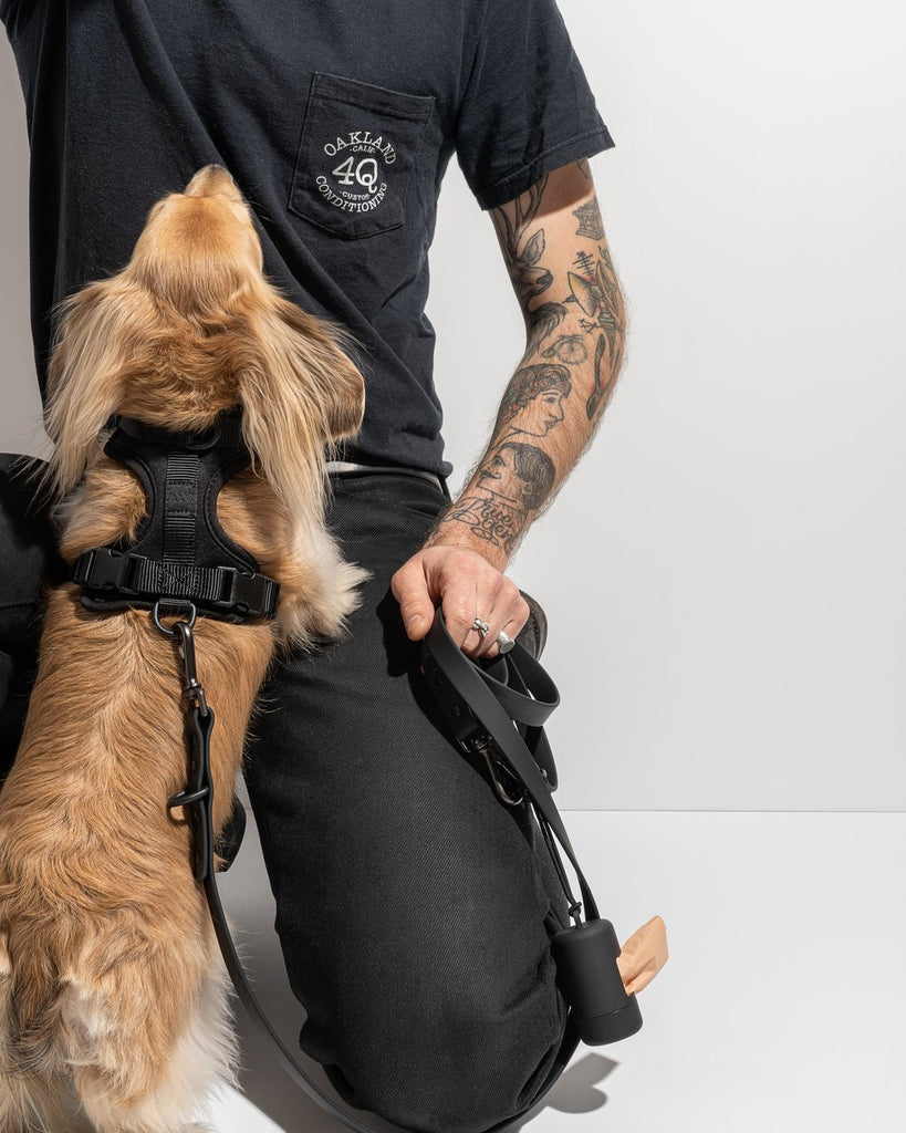 Wild One Harness, Black