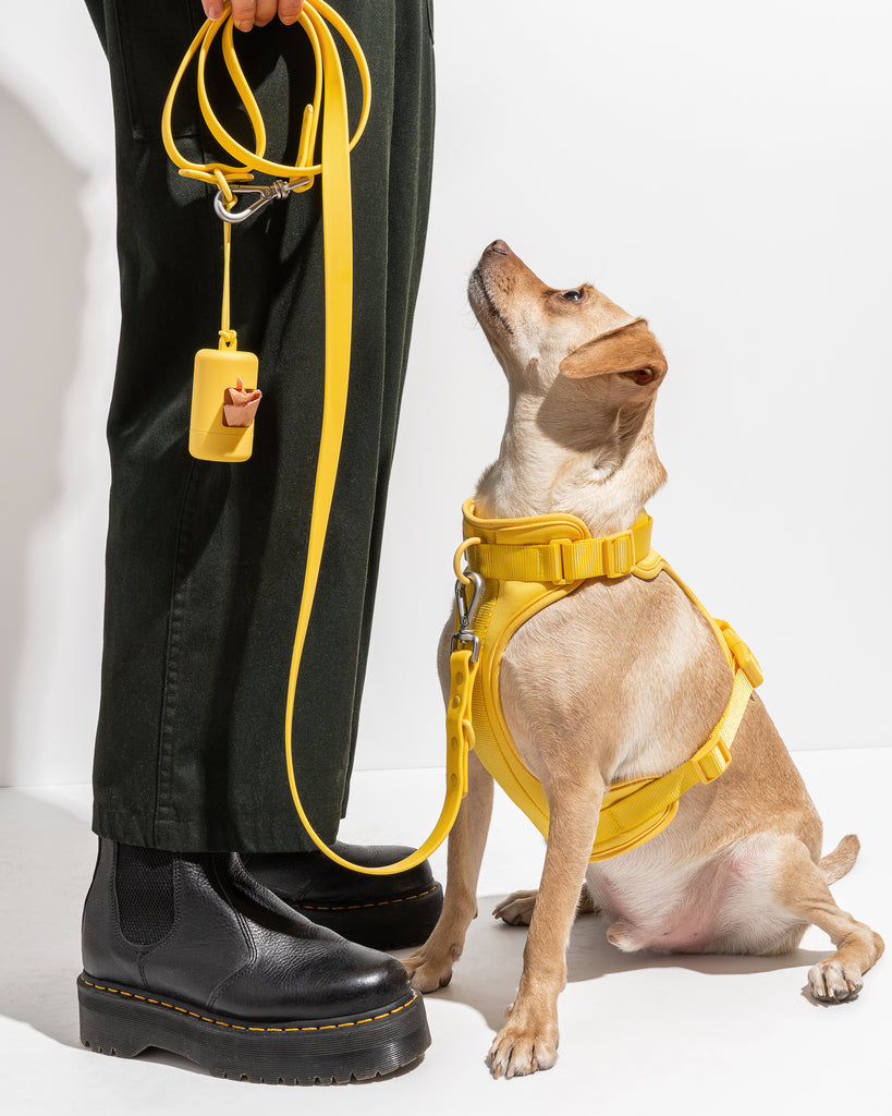 Wild One Harness, Butter