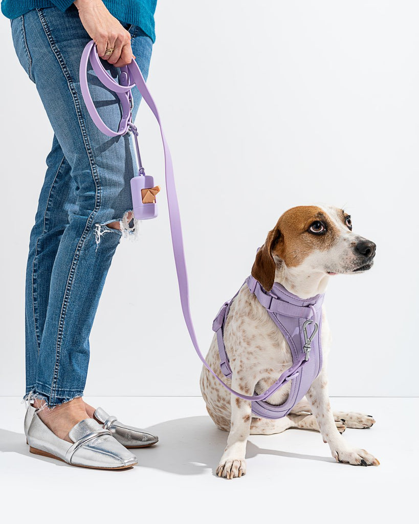 Wild One Dog Harness Walk Kit in Lilac