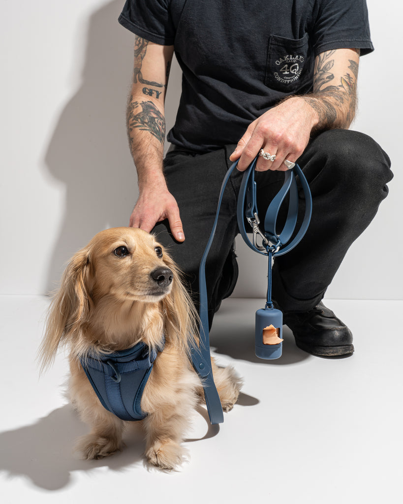 Wild One Dog Harness in Navy Walk Kit | No Pull Harness