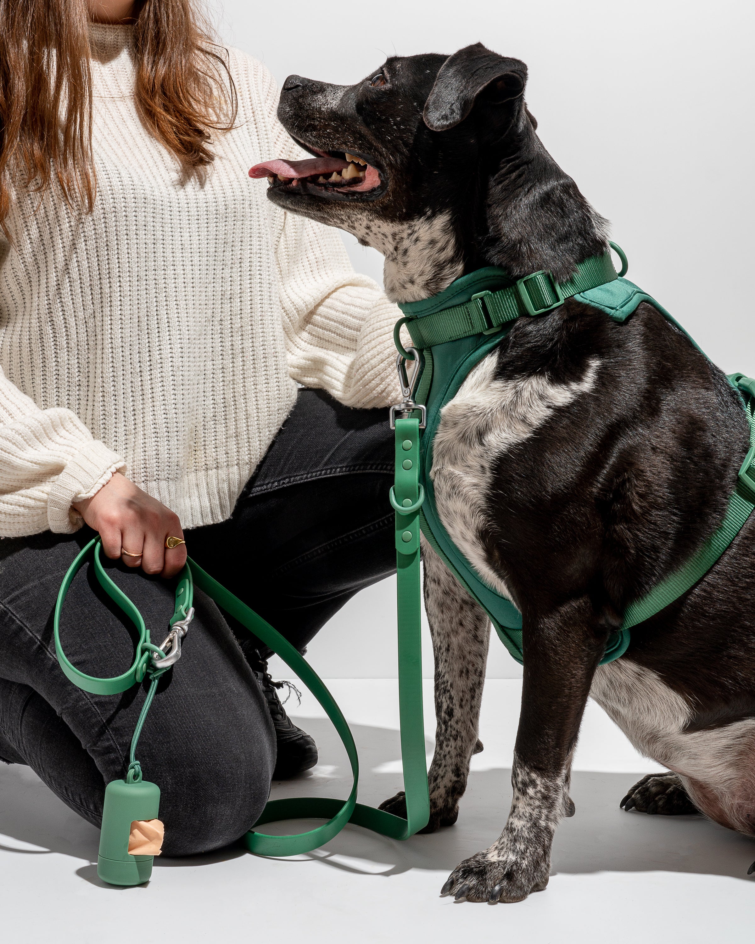 Wild one harness on sale
