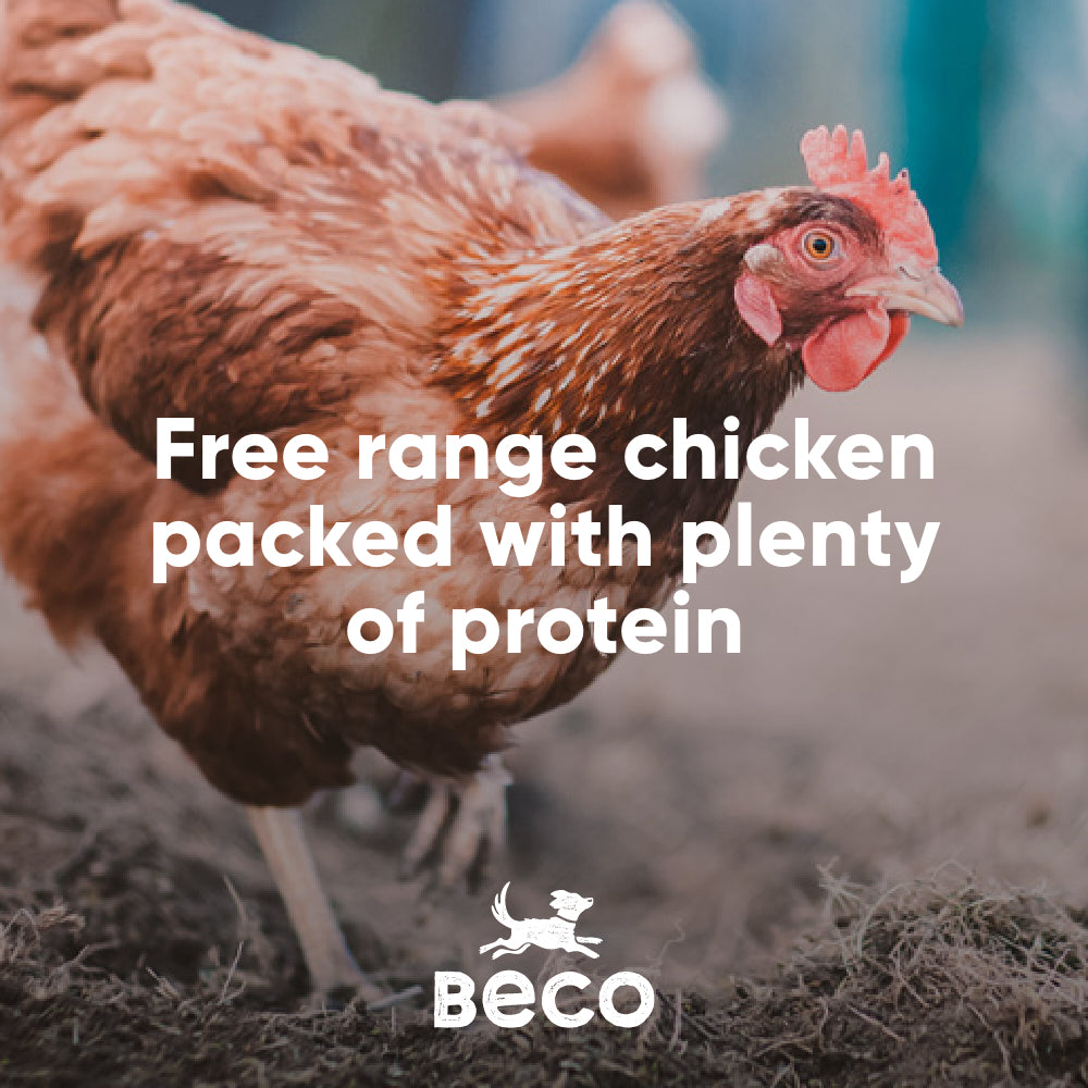 Beco Free Range Chicken with Carrot & Chicory Dry Adult Dog Food, Complete Recipe