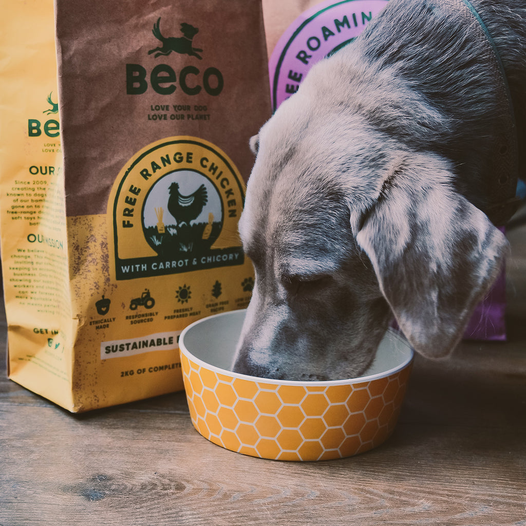 Dog eating from BECO honeycomb print bamboo bowl during feeding time