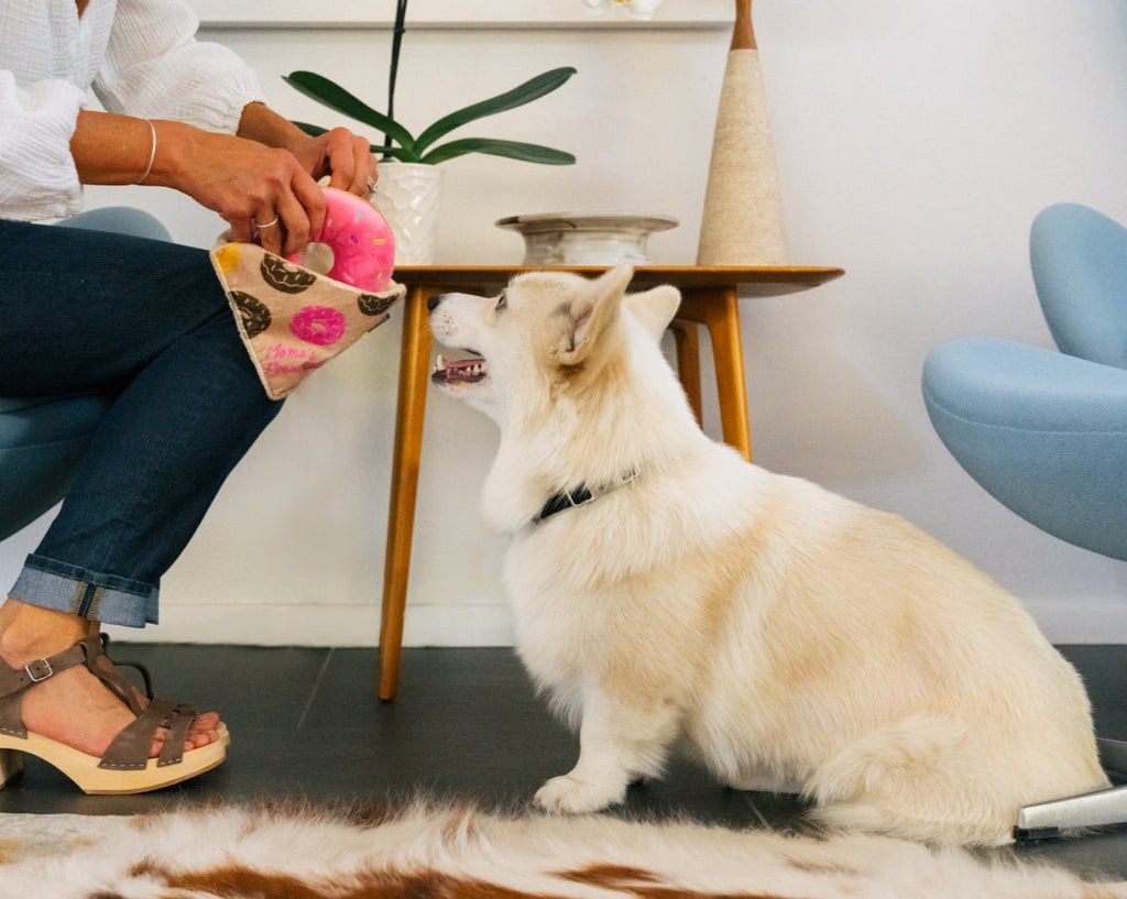 P.L.A.Y. Donut Crinkle & Squeak Plush Toy for Dogs