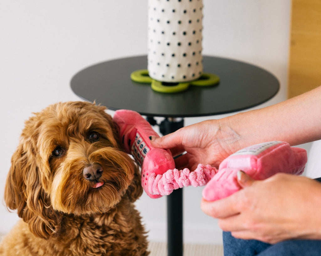 P.L.A.Y. Paw Talk Squeaky Plush Toy